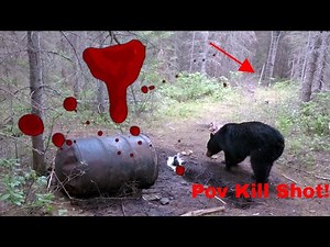EPIC POV Black Bear Hunting Nova Scotia Canada