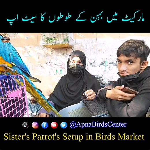 Sister's Parrot's Setup in Birds Market Karachi 🦜 #parrotsetup #karachi #parrots #birdslover #parrotslover #apnabirdscenter #OwaisKhan #fypシ #foryou #viralvideo #trending #AlexanderParrot | Apna Birds Center