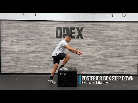 Posterior Box Step Down