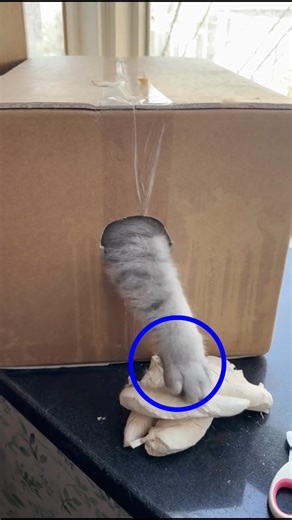 You Little Troublemaker