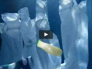 Ariston Aqualtis - Underwater