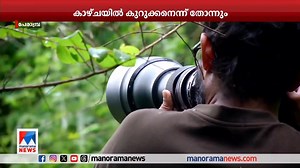 Story about our documentary - Follow the Howl : Jackal the real story Thank you Manorama News & Sruthi Sakhi ✨ full film : https://youtu.be/PrbMnADt2i0?si=-ShU7p2S4SdLRWmg | Abhijith Perambra