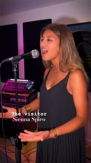 The visitor (cover)