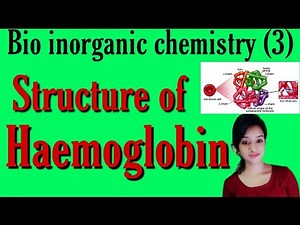 Structure of haemoglobin, bsc 3rd year inorganic chemistry, metalloporphyrin structure, knowledge ad