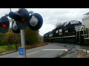 What If American Railroad Crossings Sounded Different Pt 36: St. Louis Zoo Train