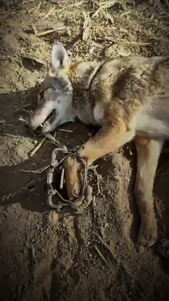 3K views · 47 reactions | Screw the haters, the doubters, and the naysayers. Keep Grinding my dudes. I got your back! | Coyote Academy | Facebook