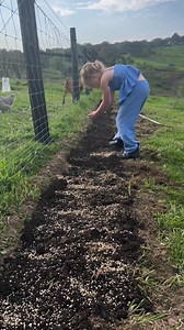 6.5K views | Spring is the peak season for wildflowers and the...