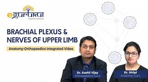 1.6K views · 31 reactions | This video describes Brachial Plexus &...