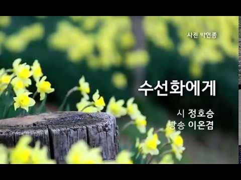 수선화에게 _詩정호승(낭송 이온겸)
