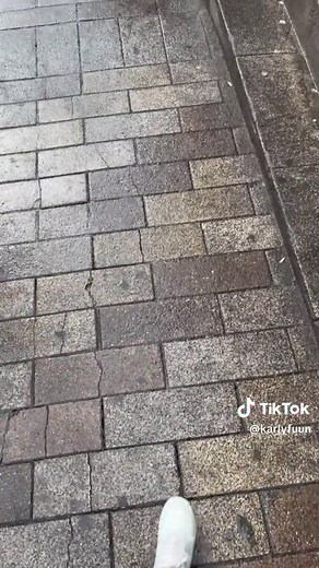 Corre Pocoyó: ¡Aventura bajo la lluvia!