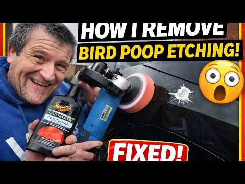 How I Fix Bird Poop Etching on Car Paint