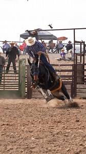 This ain’t your average trail mule… The Mule Bronc brings out the spicy ones and is always a favourite event at the Mule Day's Rodeo. Today the scoreboard was simple: Mule 1 — Junior 0. 📆 See it live again June 15–21, 2026. #JakeClarksMuleDays #MuleDays2026 #MuleDays #VisitWyoming #thatsWY #mulesale | Jake Clark’s Mule Days
