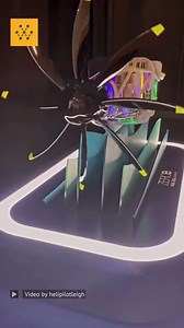 Airbus is developing a hydrogen-powered fuel cell engine. The propulsion system is being considered as one of the potential solutions to equip its zero-emission aircraft that will enter service by 2035. Video Credit: helipilotleigh #sustainability #aviation #engineering #zeroemission -------------------------------- Stay ahead of the curve! Follow us now on our WhatsApp (https://wevlv.co/wevolver-whatsapp) and Telegram (https://wevlv.co/3sJlFn5) channels and stay updated about the cutting edge. 