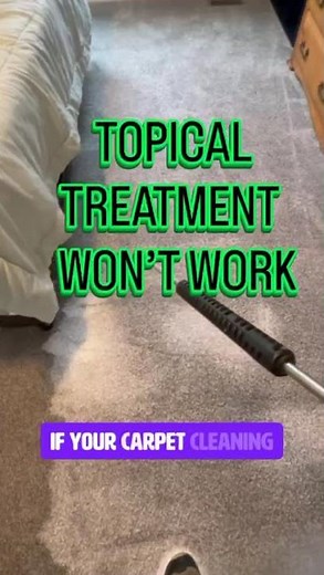 Deep Carpet Cleaning: Removing Pet Urine From All Layers The Right Way #professionalcleaners #tips