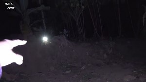 Tangkap bintang jatuh - pancarkan cahaya seperti surga dan diperebutkan semua bangsa jin #misterx #mataputih | Mister x