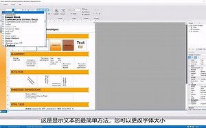 FastReport .NET对象：文本使用详细介绍