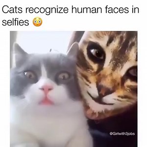 173K views · 2.5K reactions |  | Paris Hilton | Facebook