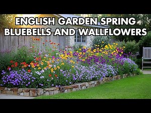 English Garden Awakening with Bluebells and Wallflowers for Spring Gardening Joy