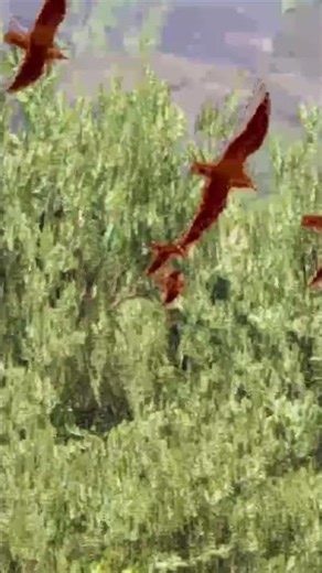 'To Rainbows' music video out now! #indierock #indiemusic