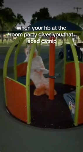 these fent tweakers evolving bro . . . . . . #furry #gay #bi #cat #catnip