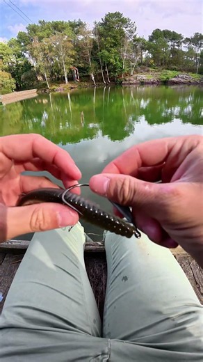 👀 HOW TO RIG A STAGGER ORIGINAL WITH A SPRING LOCK SPINNER?