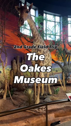 21 reactions | Our 2nd graders had an amazing time at The Oakes Museum of Natural History last week!  From discovering incredible African and North American animals to exploring the outdoors on a nature hike, it was a day full of learning, curiosity, and big smiles.  #FieldTripFun #SecondGradeAdventures #OakesMuseum #HandsOnLearning #CuriousKids #SchoolMemories #hinkletownmennoniteschool #christianeducation #hmscommunity #hms | Hinkletown Mennonite School | Facebook