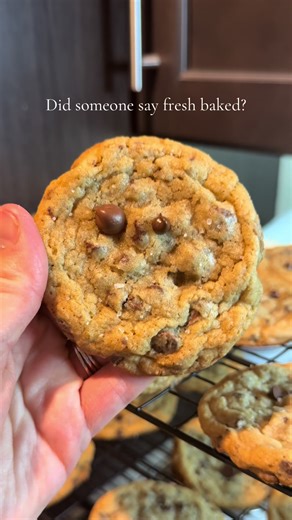 Fresh Baked Chocolate Chip Cookies at the Farmstand