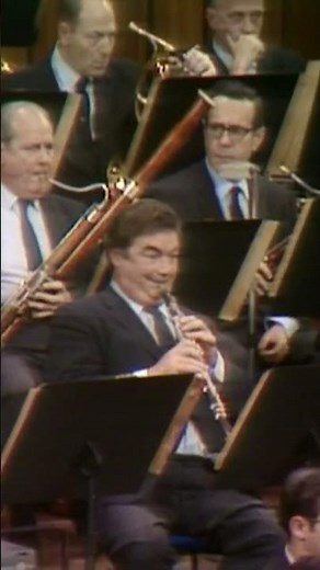 Leonard Bernstein Discusses Strauss's Don Quixote | Young People's Concert - New York Philharmonic