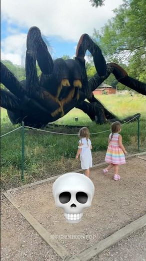 SPIDERS CAN’T BE SCARY 💀