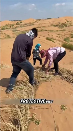 How China Fenced Off the World’s Deadliest Shifting Desert