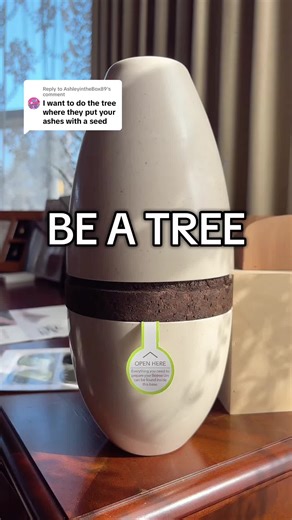 Exploring Biodegradable Urns: Nature's Cycle