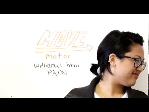 Student's Study Guide to Glasgow Coma Scale