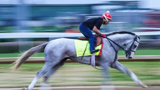 Meet Kentucky Derby 2025 contender Sandman as told by trainer Mark Casse