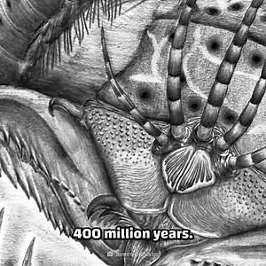 These scary looking worms did not evolve at all! | Crazy Creatures