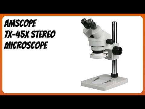 REVIEW (2026): AmScope 7X-45X Stereo Microscope. Features