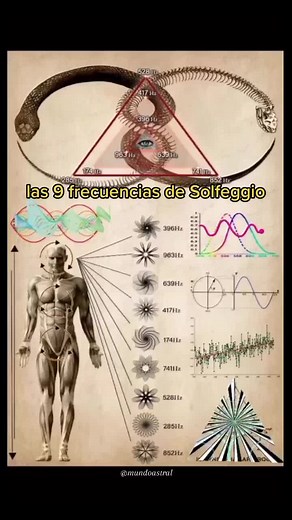 ¿Cuáles son las 9 frecuencias de Solfeggio? Las Frecuencias Solfeggio se utilizan para abrir los chakras y generar varios beneficios para la salud mental y física,1 dependiendo de la frecuencia utilizada. Las 9 frecuencias primarias de Solfeggio van desde 174 Hz a 963 Hz 174 Hz-Aliviando el dolor y el estrés La frecuencia de 174 Hz puede aliviar el dolor, el estrés y mejorar la concentración. Se ha dicho que proporciona una sensación de seguridad a los órganos del cuerpo, y es particularmente be