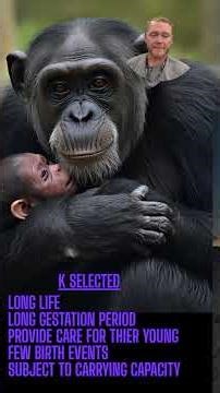 r and K Reproductive Strategies #apes #environmentalscience #apenvironmentalscience #rankspecies