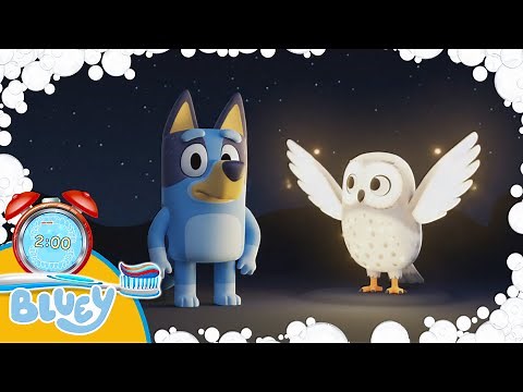 New Bluey and the magic owl 2 Minute Toothbrush timer with Music