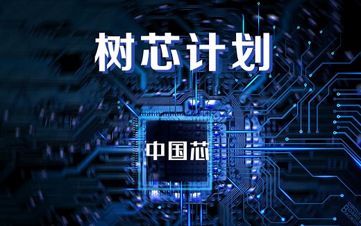 “树芯计划”谢老师：数字芯片验证——System Verilog断言代码实操讲解
