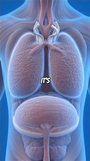 Why do we get HICCUPS? 😳