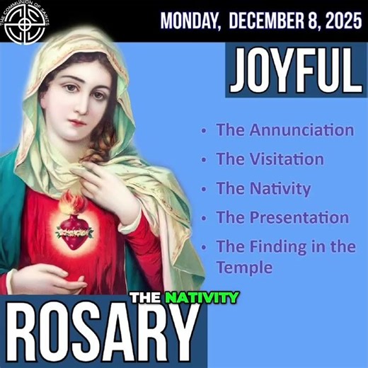 Joyful Mystery 3: The Nativity - Praying the Rosary #shorts