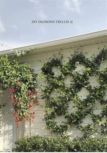 DIY Diamond Trellis for Your Garden Project