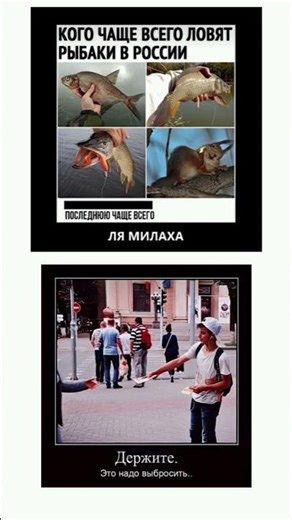 #meme #memes #memeshorts #viral #viralvideo #shortsvideo #shorts