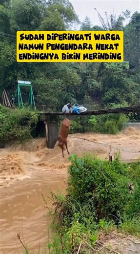 Warga Sudah Teriak Jangan Lewat, Detik Berikutnya Pengendara Ini Hanyut #SapiNgamuk #GagalSabar