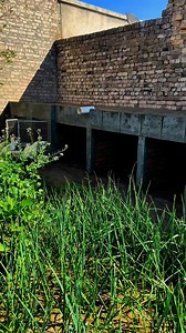 information of new cages #cagesetup #poultryfarming #minizoo #viralvideoシ #foryoupageシ | Ch Shani Vlogs