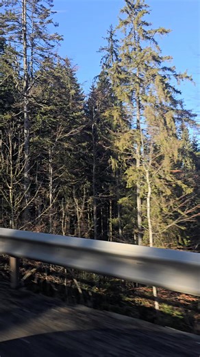 95 reactions · 4 comments | Carmen Oprea on Reels | Facebook