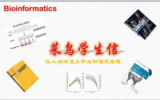 1.1.Perl环境安装-Windows下环境安装