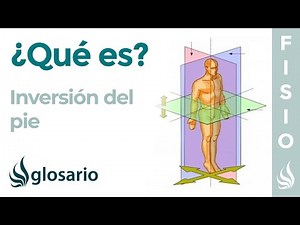 INVESTMENT | What it is, the structures involved, when and how it occurs