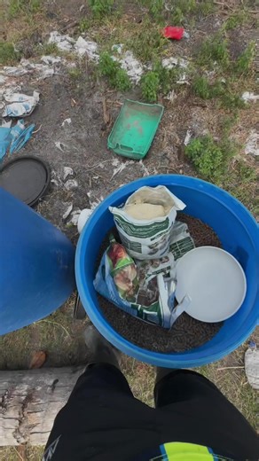 Understanding Bioplus for Cattle Farming