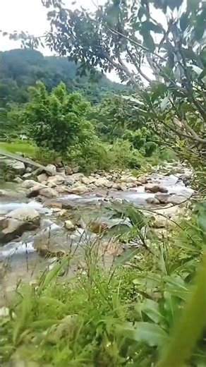 हाम कहाँ हे 🧢🧥👖🥾🎒🏞️🏕️ #goviral